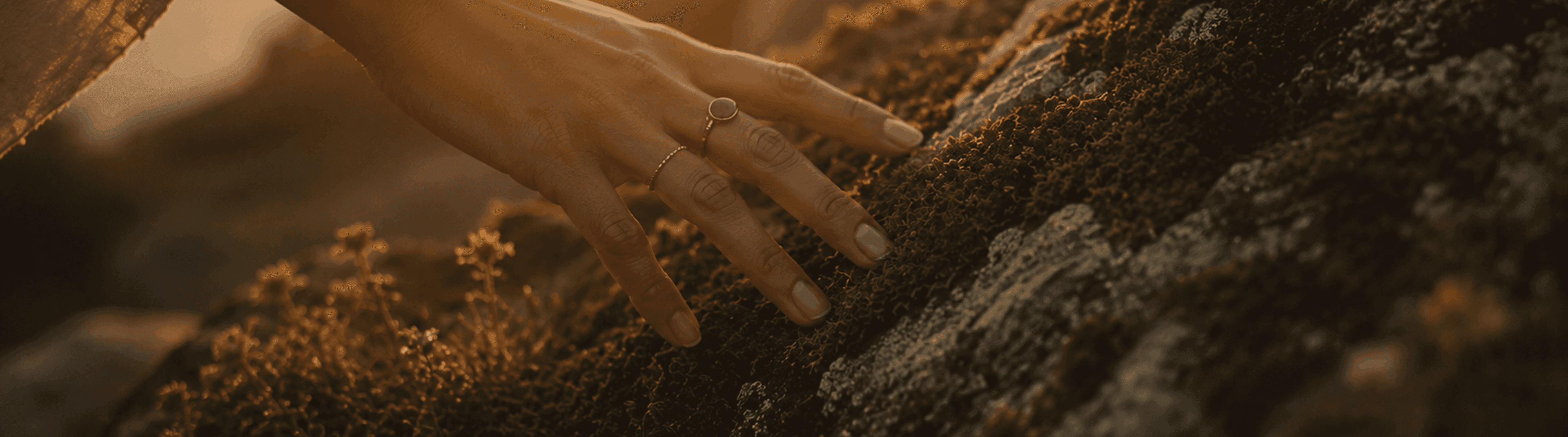 Photo - A hand wearing a ring touching a moss-covered rock.
