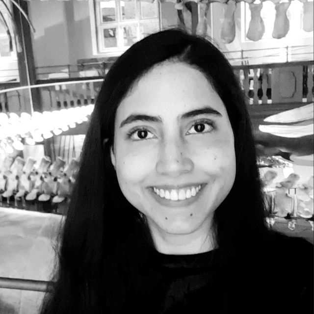 BLIXTAR111 Photo - BLIXTAR111