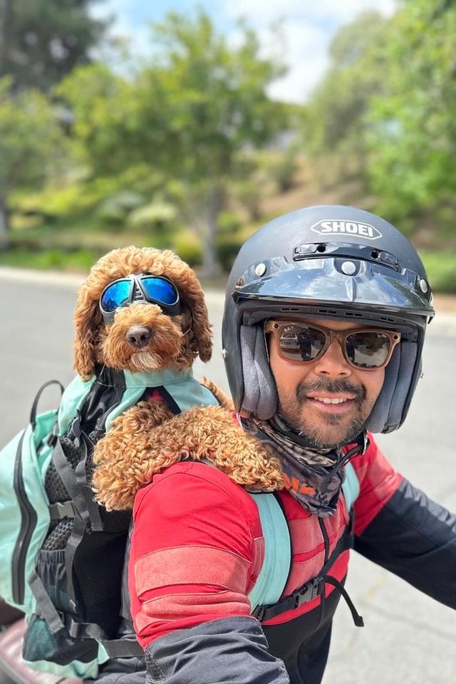 The Yogic Lens Photo - The Yogic Lens