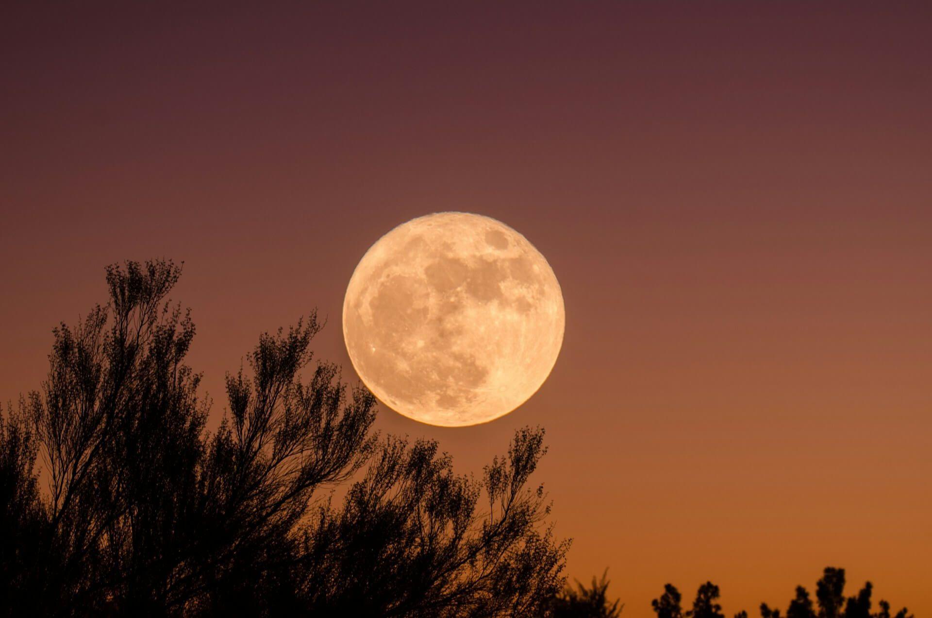 An orange moon symbolizing transformation and spiritual intensity Photo - An orange moon symbolizing transformation and spiritual intensity