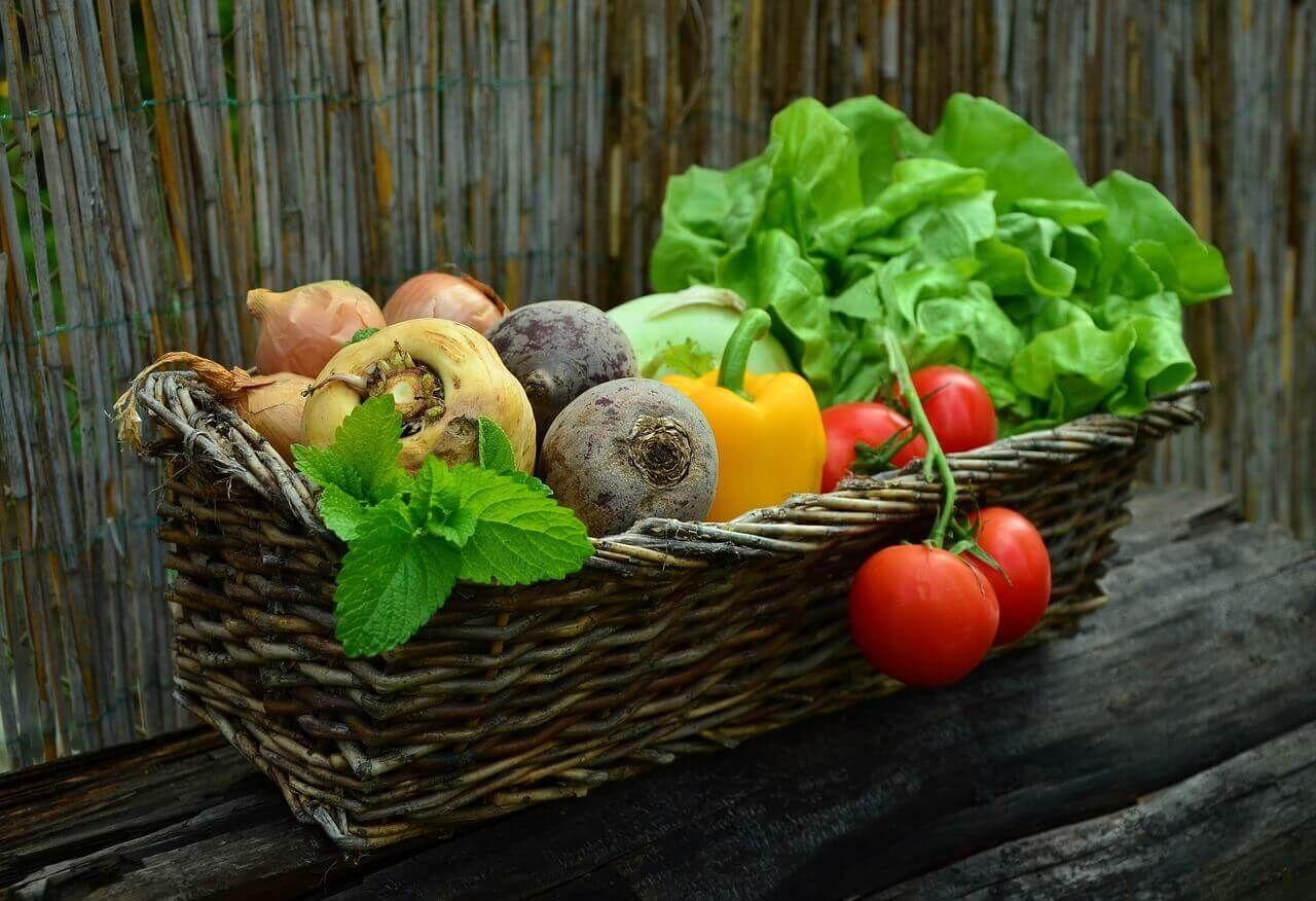 Basket of vegetables Photo - Basket of vegetables