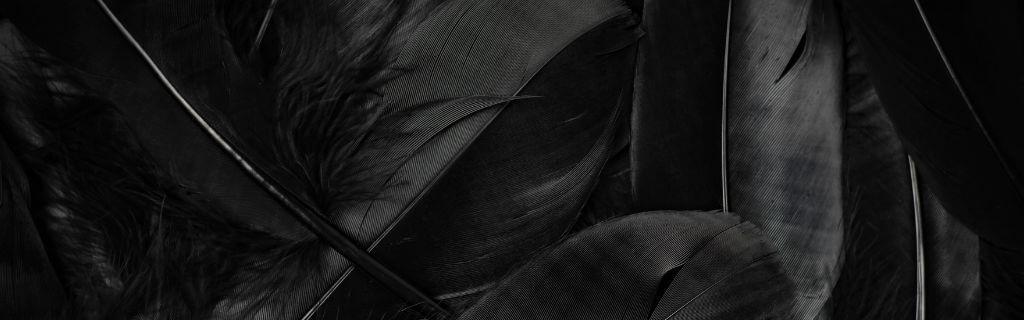 Black Feather Spiritual Meaning: Discover the Hidden Messages