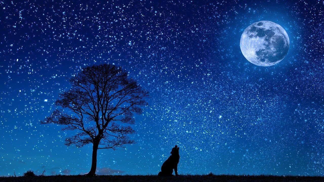Effects of the August full moon in Aquarius on zodiac signs Photo - Effects of the August full moon in Aquarius on zodiac signs