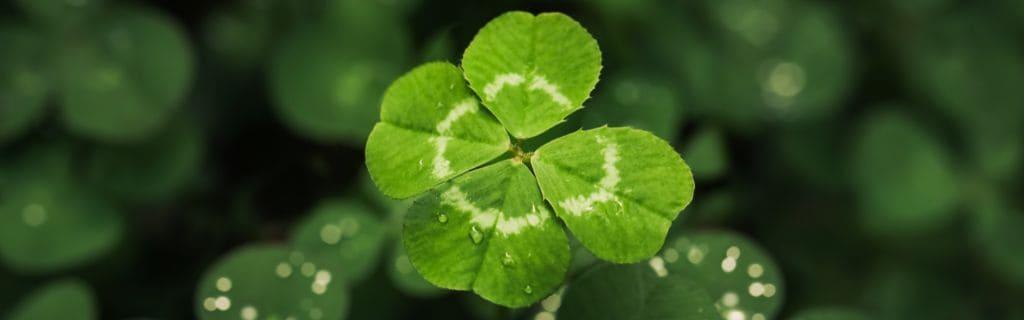Four-Leaf Clover Spiritual Meaning: Exploring Its Mystical Symbolism