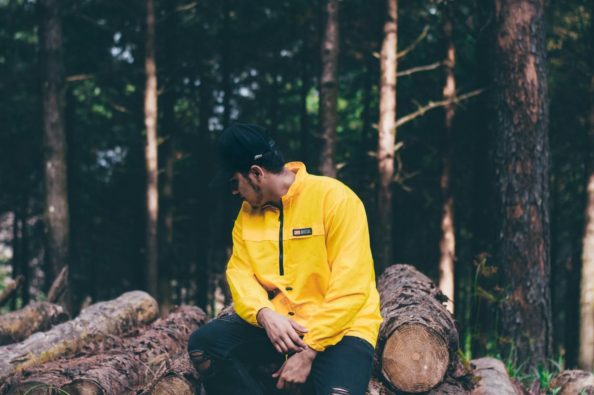 Yellow Jacket Spiritual Meaning